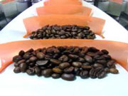 粉粒体搬送コンベア搬送例コーヒー豆画像2